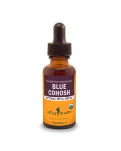 Blue cohosh 2