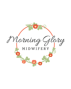 Morning Glory