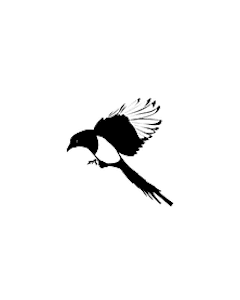 Magpie Midwifery - Savannah Stone, LM, CPM