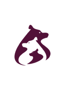 Mama Bear Midwifery Care - Aneke Roach, LM